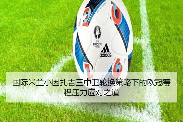 国际米兰小因扎吉三中卫轮换策略下的欧冠赛程压力应对之道 | leyu