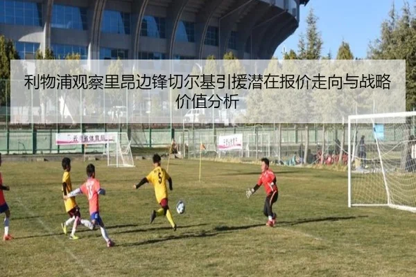 利物浦观察里昂边锋切尔基引援潜在报价走向与战略价值分析 | leyu