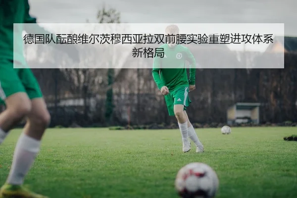德国队酝酿维尔茨穆西亚拉双前腰实验重塑进攻体系新格局（leyu）