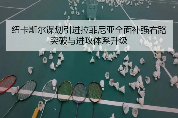 纽卡斯尔谋划引进拉菲尼亚全面补强右路突破与进攻体系升级（leyu）
