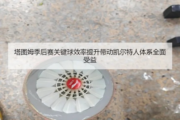 塔图姆季后赛关键球效率提升带动凯尔特人体系全面受益（leyu）